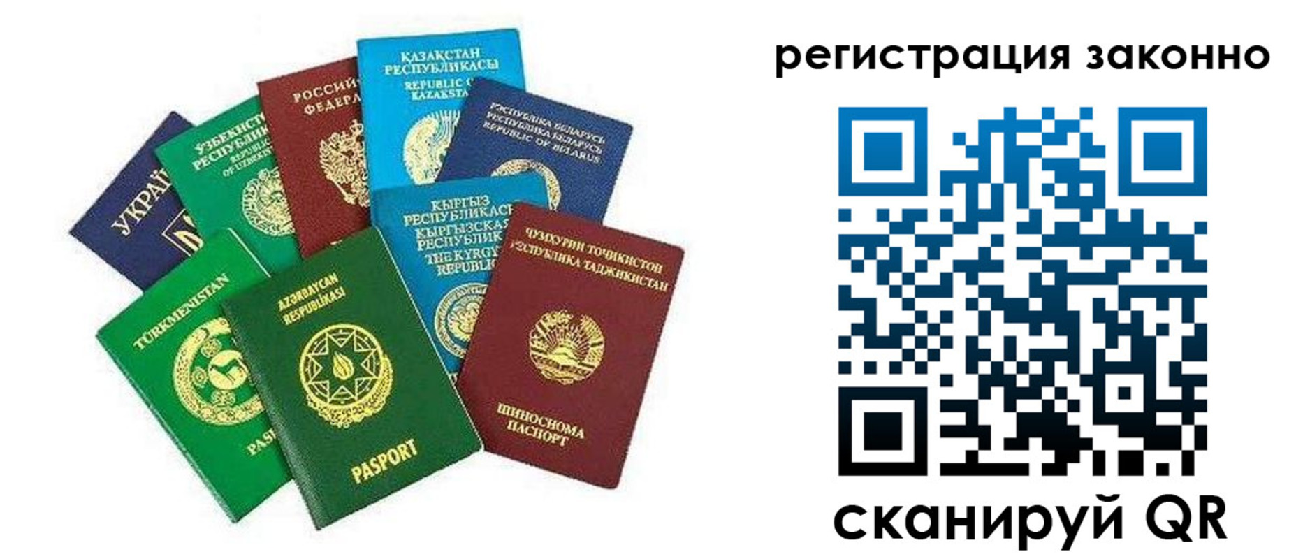 временная регистрация поиск в Судогде